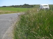 IMG-7330.jpg