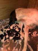 A24C0EB3-8015-4704-816A-6D19E2D1A031