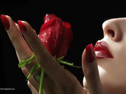 Flower-886830-763639