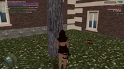 UKRAINE-GTA-27-05-2026-16-13-29