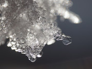 DSC02131-crop