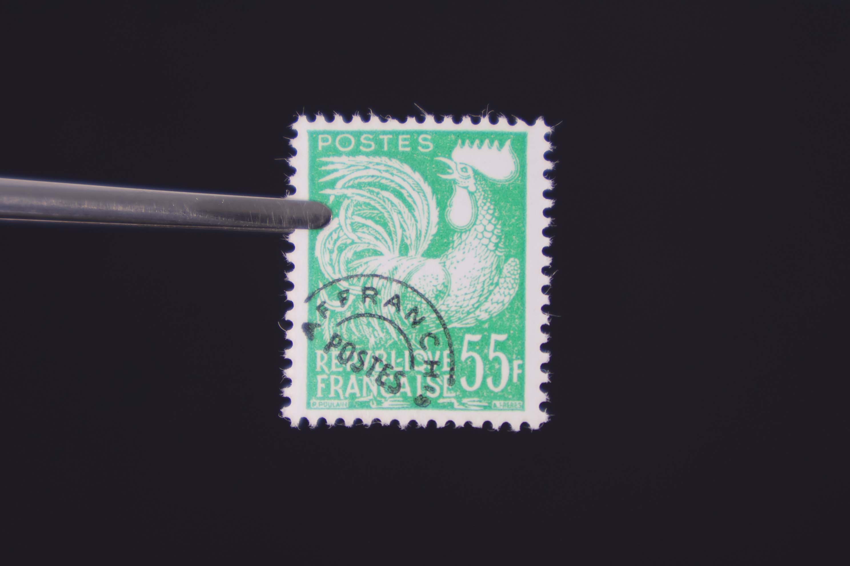 IMG-5079