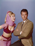 Barbara-Eden-c55