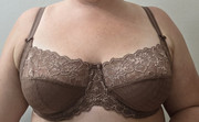 Panache envy 38D