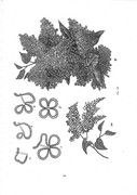 Krasichkova-Khudozhestvennoe-vyshivanie-163