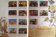 IMG-0026