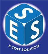 esoft-2-160blue