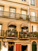 photo 5 2026 01 10 15 57 53