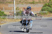 IMG-2554