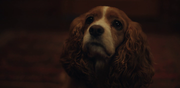 vlcsnap-2020-03-23-08h53m49s052.png
