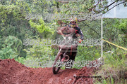 IMG-6350