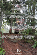 IMG-0345