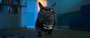 vlcsnap-2023-08-25-21h55m39s672.png