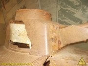 DSCN6527