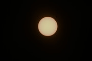 IMG-3163.jpg
