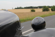 IMG-3937.jpg