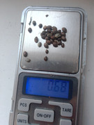 IMG_20230201_222301_527