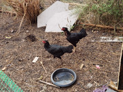IMG-20220220-165542