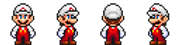 spr_mario_fire_warp_strip4