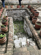 IMG-8233