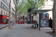 IMG-0367