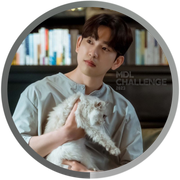 PYJ Devy&#039;s Gray 1