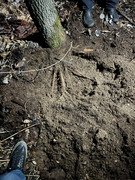 9C58FFCB-CE56-4B62-93F7-3F8DACBA1073