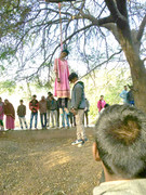 2a0447401f13e211a228eff2d98e3592