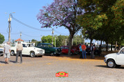 IMG-2991
