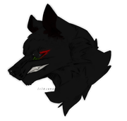 2025_01_28_0dg_Kleki