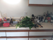 IMG_20220415_161423_01