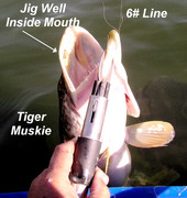 [Image: BIG-FISH-LITTLE-JIG.jpg]