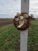 370199727_912233143598354_6711598270376883418_n