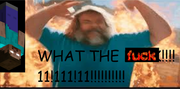 yn11