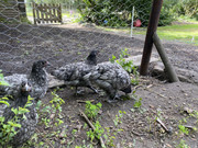 D4733F8E-D0F1-47AD-B550-3D242E960263