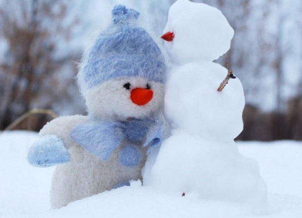 bonhomme.jpg