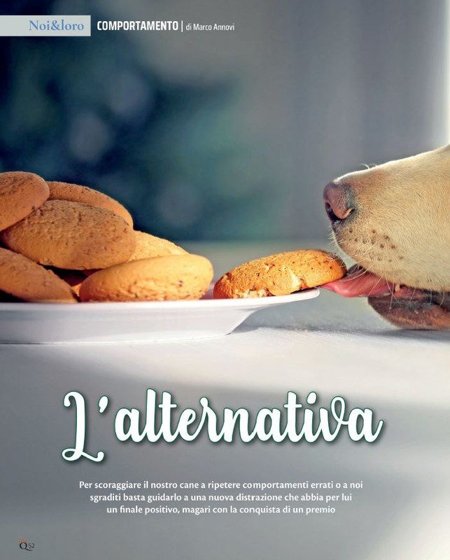 QuattroZampe Lug 2021 (5)