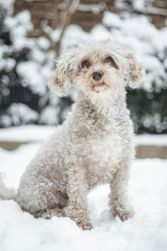 8FA86205-FE6E-4815-8C3D-9C265F052AF6