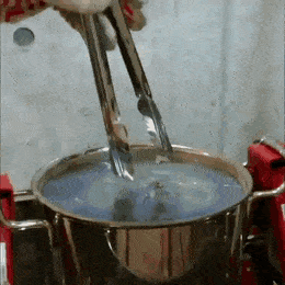 WOWGifs-1