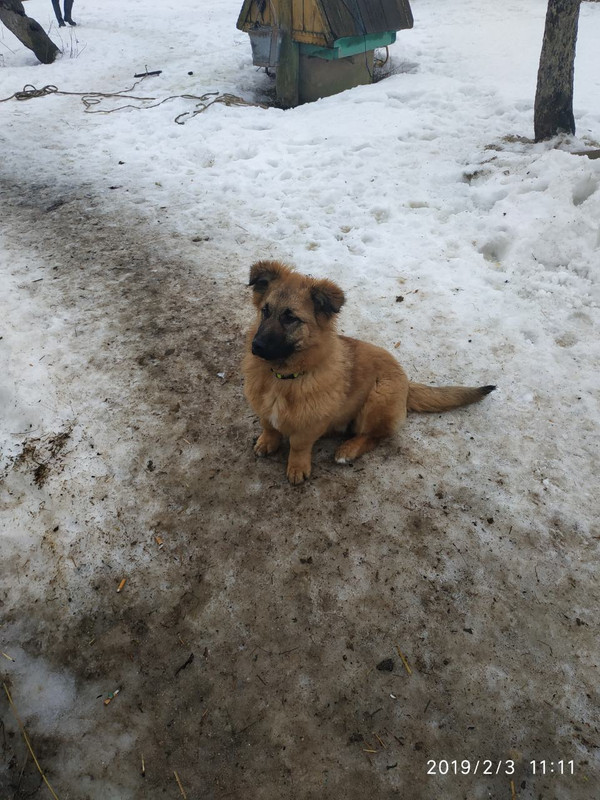 IMG-47a19f14122bbe55377bf1eb03f05285-V