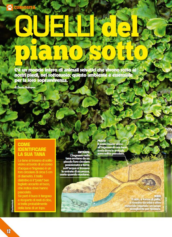 Foc Wil - Feb 2024 (3)