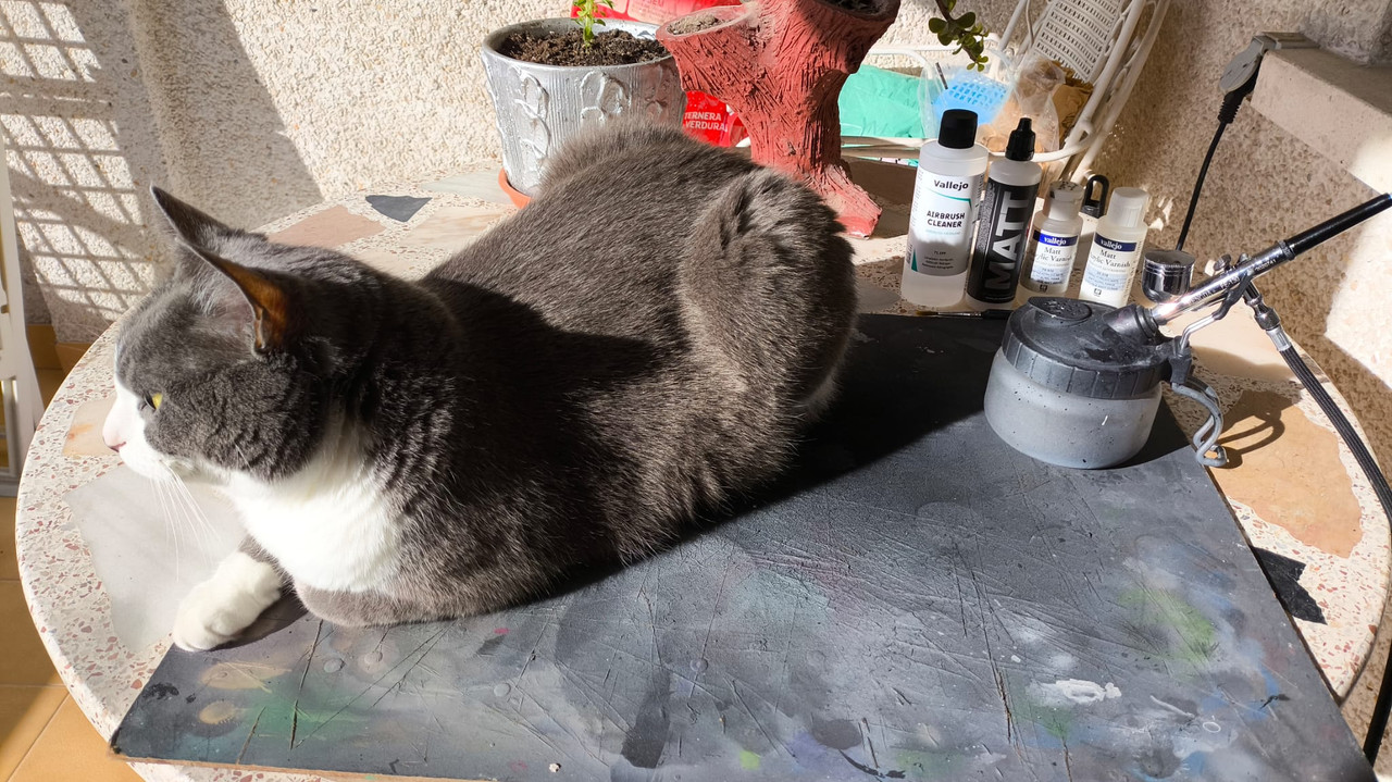 WhatsApp Image 2025-04-27 at 11.26.49(1)