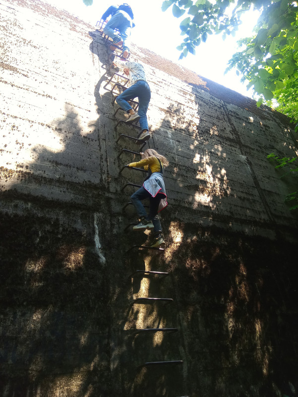 12.13 - 20210605_112526 (TomaszK)