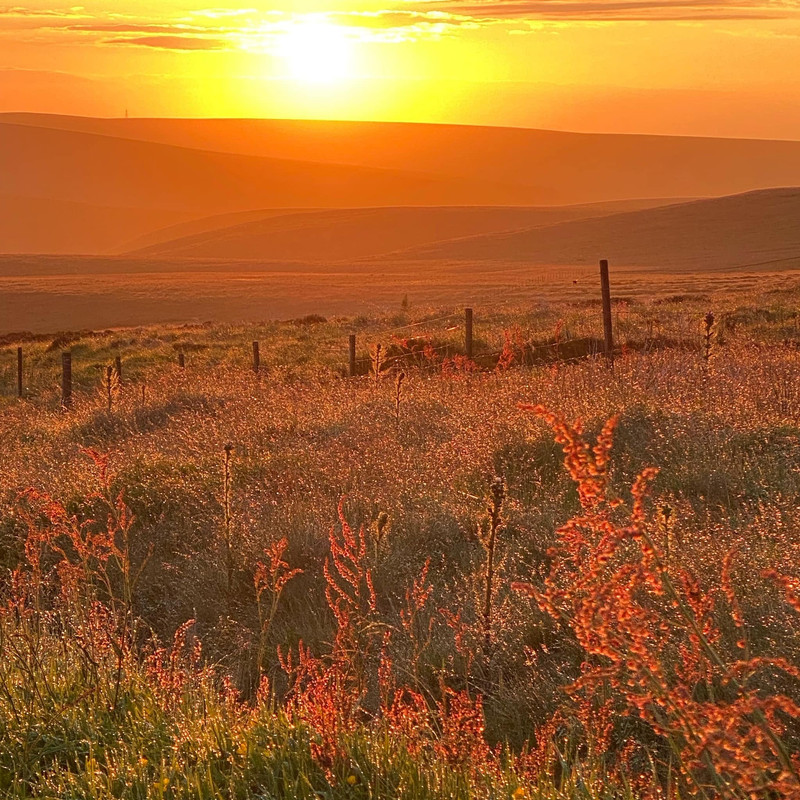 Kerry Hughes (shared by Dan on Sporad group) (1 of 4)