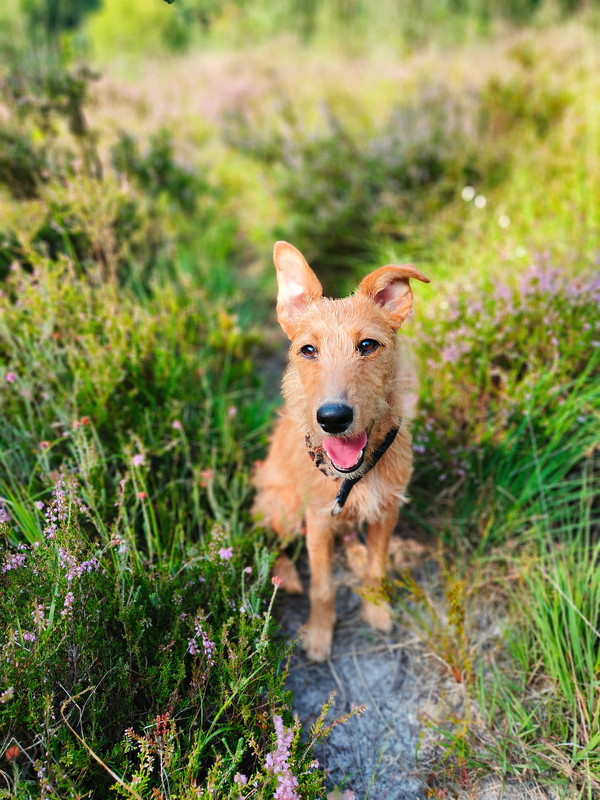 Lumii_20250810_164421430