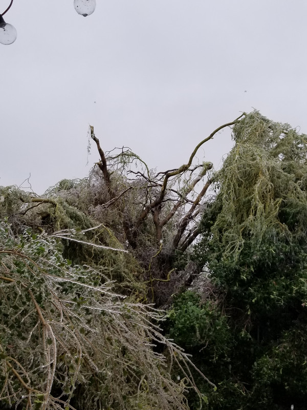 7E5E0149-C2DC-4B0D-9588-408B16ED5161