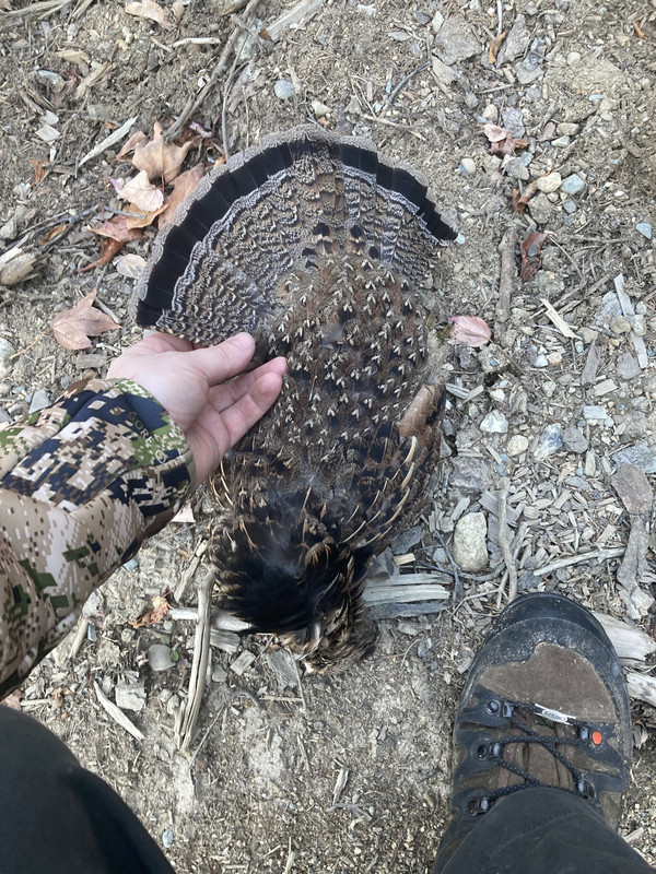 E1B7370A-8090-4B22-B3BB-6C413B97B161