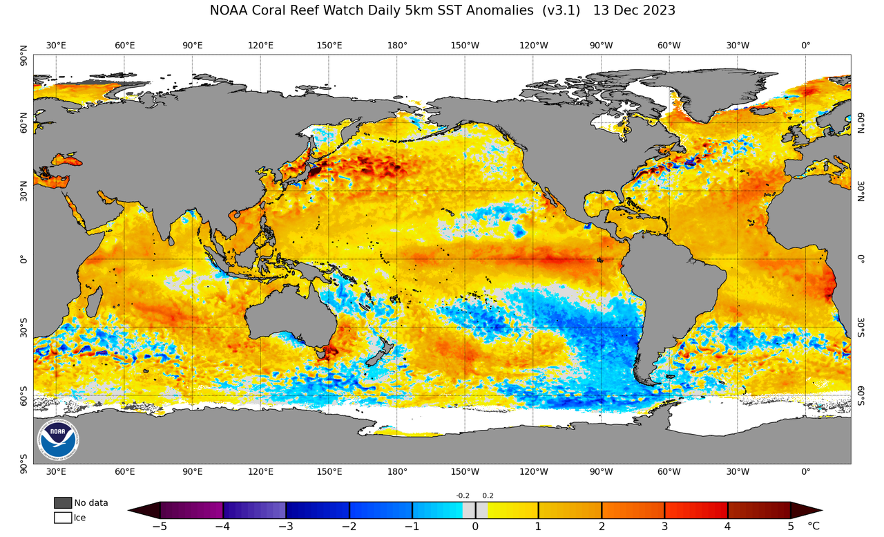 ssta-daily-current.png
