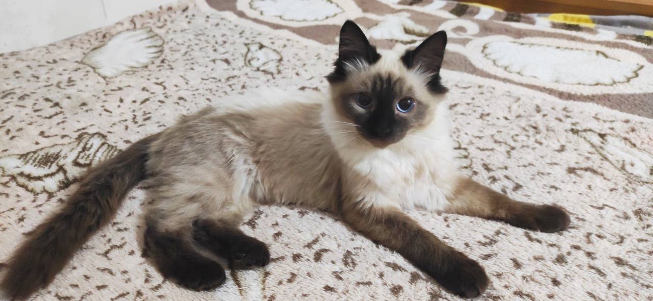 D3434FAB-16A0-4EBD-A187-C3AADF5FA354