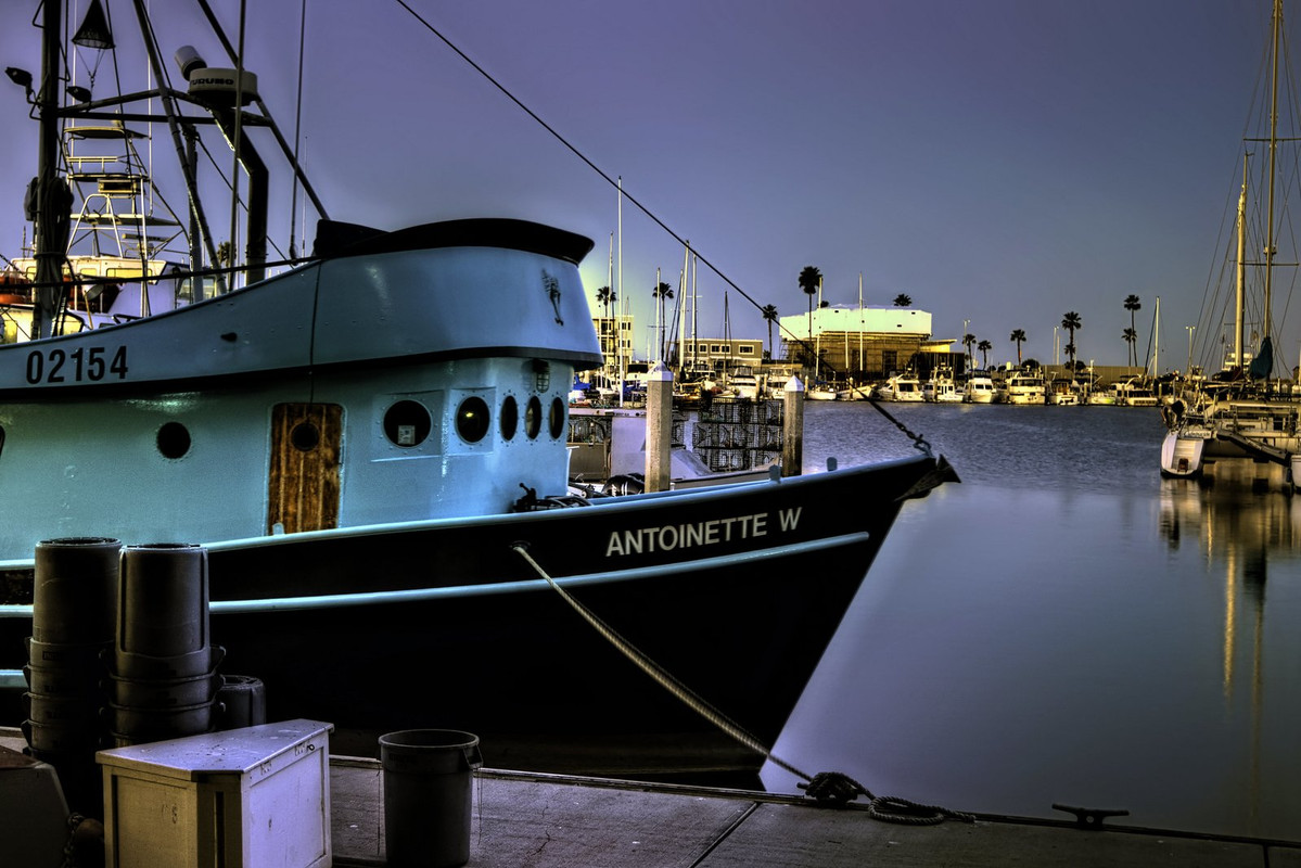 turquoise-bow.jpg